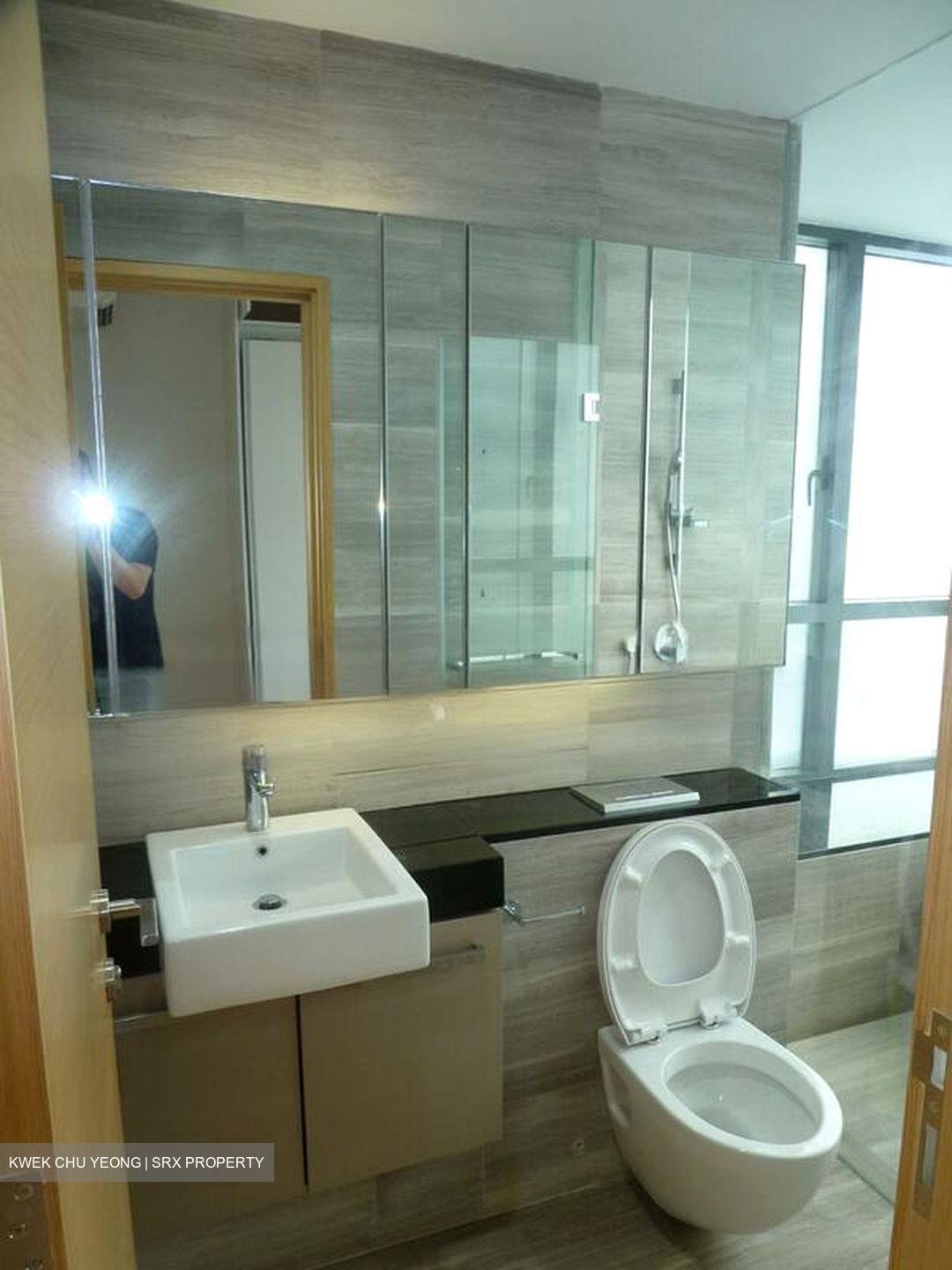 Cityscape @ Farrer Park (D8), Condominium #460923271
